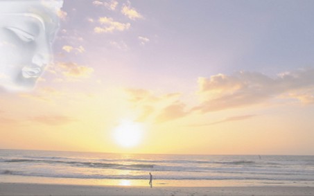 �ڼ�ѧ��Ӧ��ע������