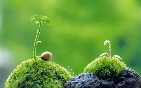 �ڰ�ʶ�����°����ӷ������