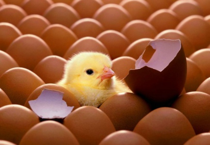 ͼ˵���������ࡪ������Ϊ�β��ܳ�