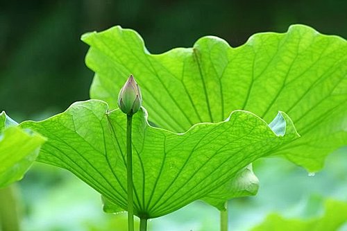 ��˵һ�仰������һ���
