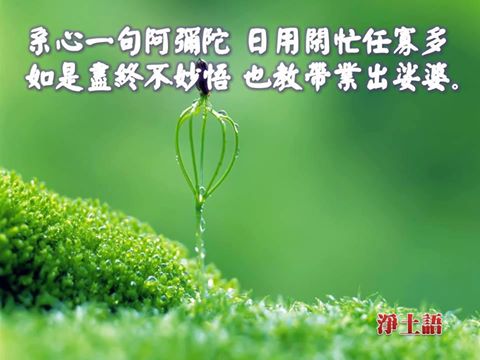 һ���ȫ����,һ���������