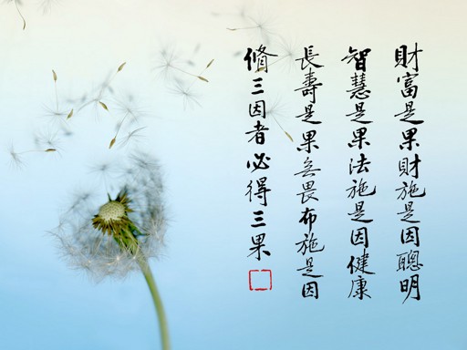 ��ʩ����������ȥ��ʩ