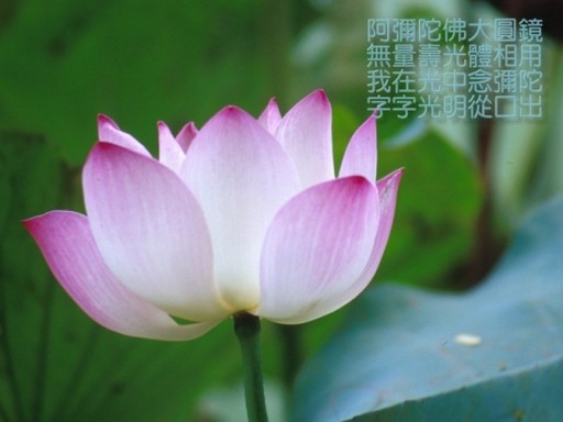 Ҫ����������һ��Ҫ���