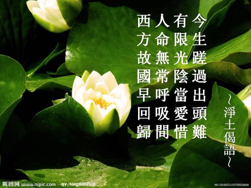 ѧ��Ӧ�е�̬������ʶ