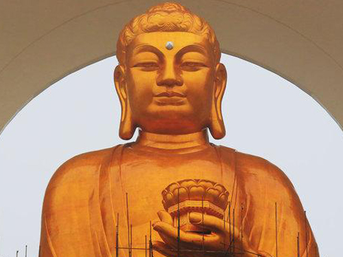 ������Ե���빦������