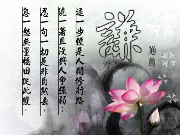 �޲T�޵�����