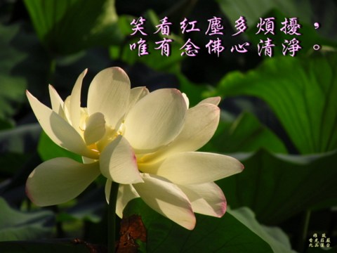 �¹�����Թҵ������ô��