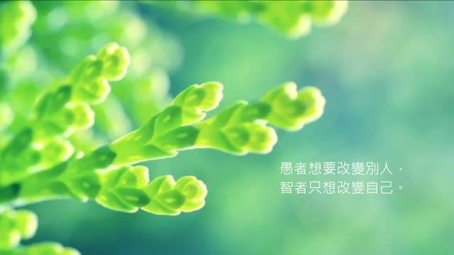 ���ĵ��Ʒ����⾳�����ʸ���Ҫ