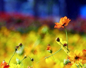 �û���������ʧ��һ���
