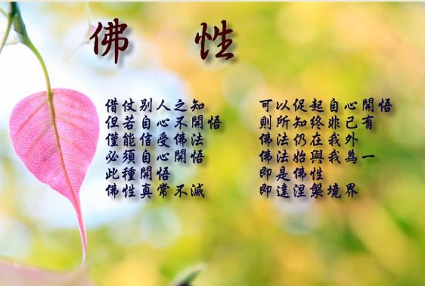 �𻯵��µ������ڰ���