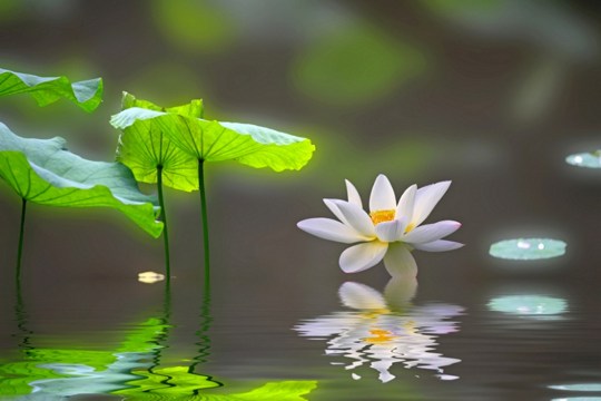 ��ڵ�����Ҫǿ������ҵ������