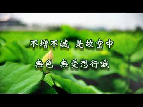 �޿չۣ�����������