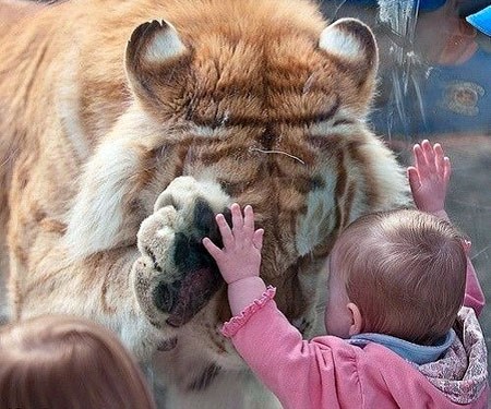 Ǯ��ô���ģ��ͻ���ôȥ
