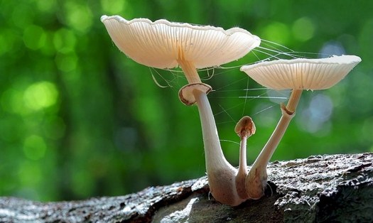 �����������Լ������˺�