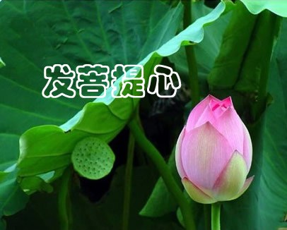 �������Ĳ����뿪��ˮ������