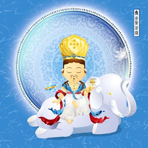����Ӧ���������ѧϰʲô����