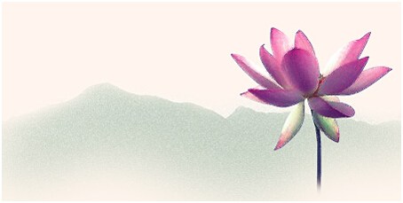 ���뱾����û�е�