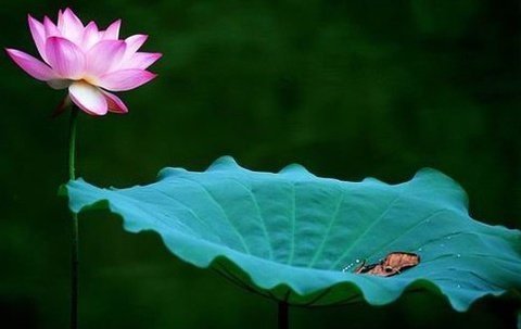����һ˫�����֣�Ϊ������ȱ���