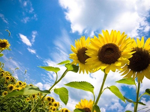 �Գϴ��˾����Լ�����Ҫ�ġ����ˡ�