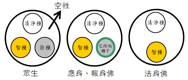 �������밢��Ү