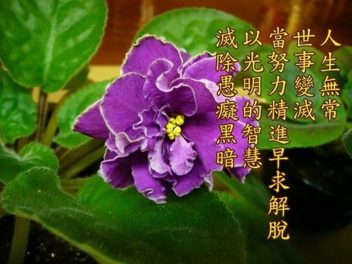 ���޳��ܻ����ʲƣ�ת�ɺ㳣���õĹ���