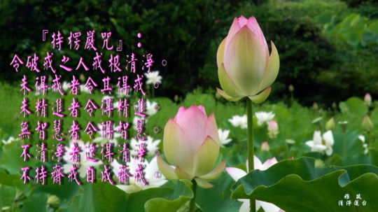 һ�з�����һ�з�а