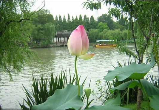 �޴ȱ��۶��β_����