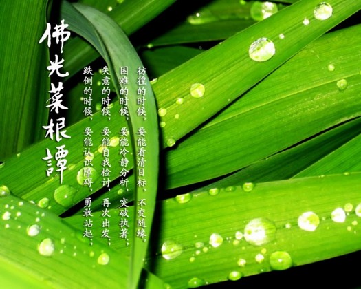 �ֽܳ䲻������û�п��
