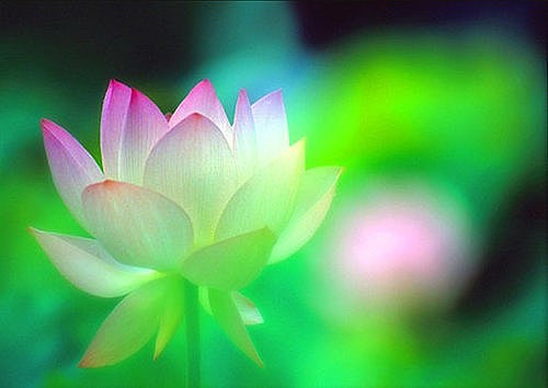 ����һ�����࣬����ǧ�ղ���