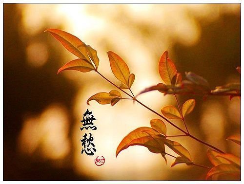 ׬Ǯ������--�������ߵ��Ҹ�