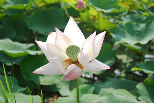 �����ĭ����磬�ó��޸���ʵ��