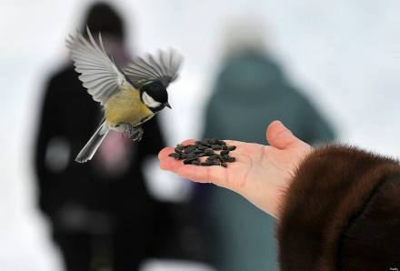 һ������������