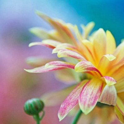 һ�����봴����ֻ�