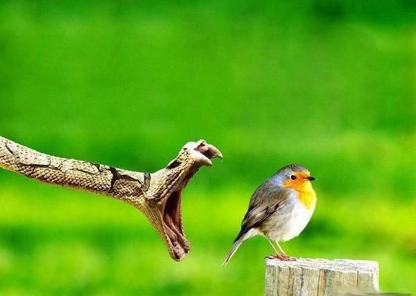 ���ؽ�ɱ�����ԹԹ�౨�Ķ���ѭ��