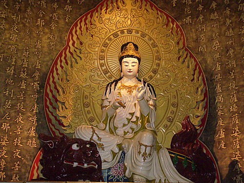 �����衹����ֵ����Ǯ