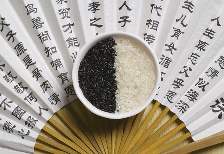 ��������Ӧ������ʳ