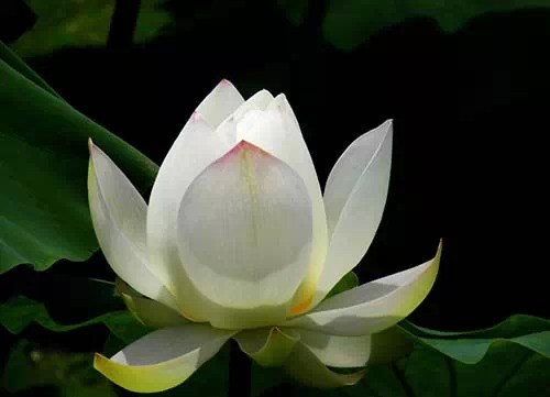 �޳��Ծ���ΪҪ������������Ϊ��