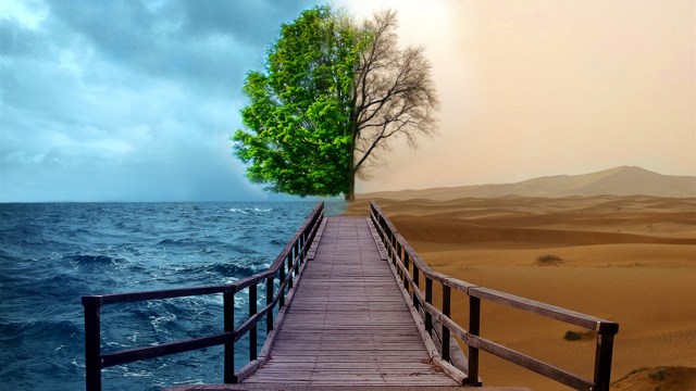 �ɷ����棬�����ǵ��ֻһ���