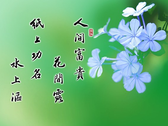 ���Ƽд������ģ�������;����