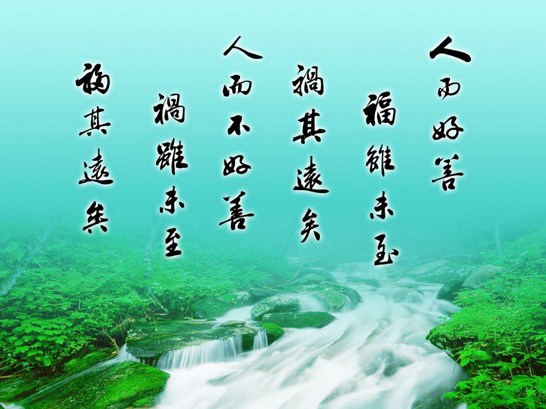 ��С�÷쵽������