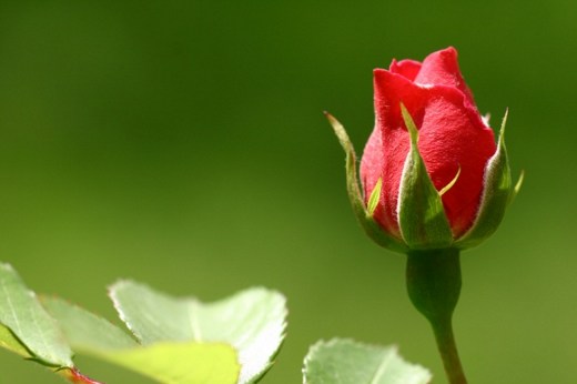 ��׾��һ�㣬�����ͻ�Ƚ�ƽ��˳��