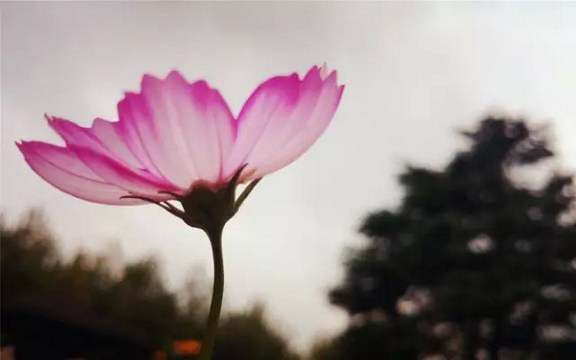 ͻ���ϰ�,��Խ����,�������