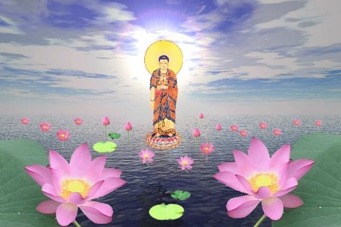 һ���ֻصĸ����������ǵ�ҵ��