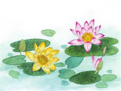 һ�Ĺ���ͨ�������ľ���