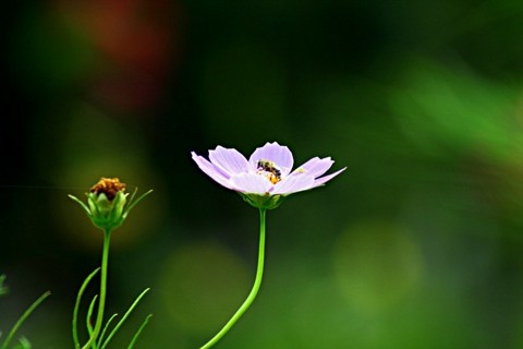 ��˵а����ʮ����