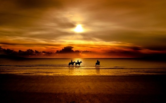 ���ɽ��Ĵ���