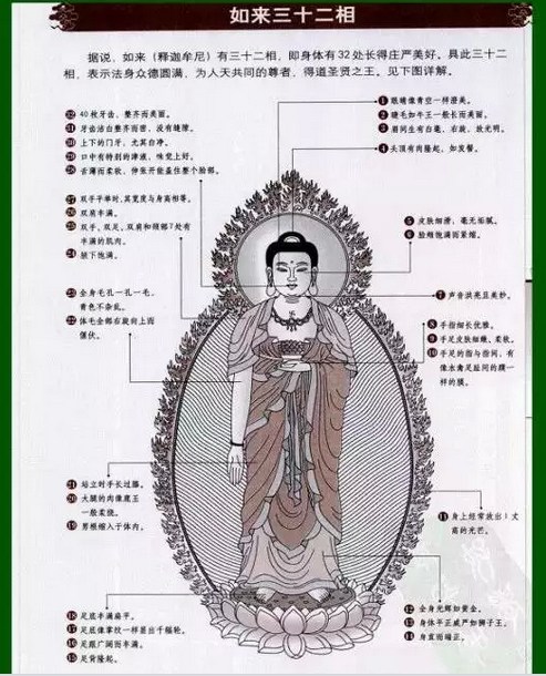 ���ӵ���ʮ����Ӻζ���