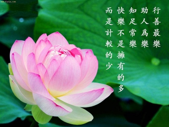 ְҵ���������ֱ��Ӱ�쵽�Ҹ�����