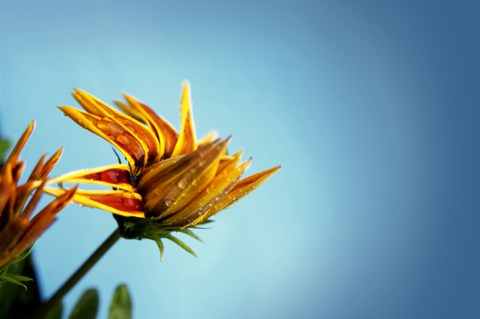 а�������Ǳ������������֮·