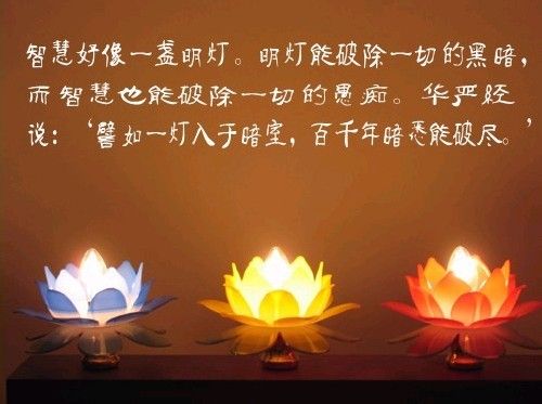 ѧ��֮�˵����ָ�Ӧ
